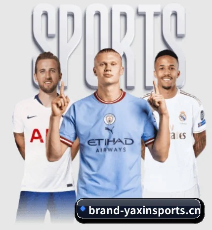 亚新体育 APP（yaxinsports）